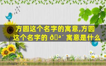 方圆这个名字的寓意,方圆这个名字的 🪴 寓意是什么